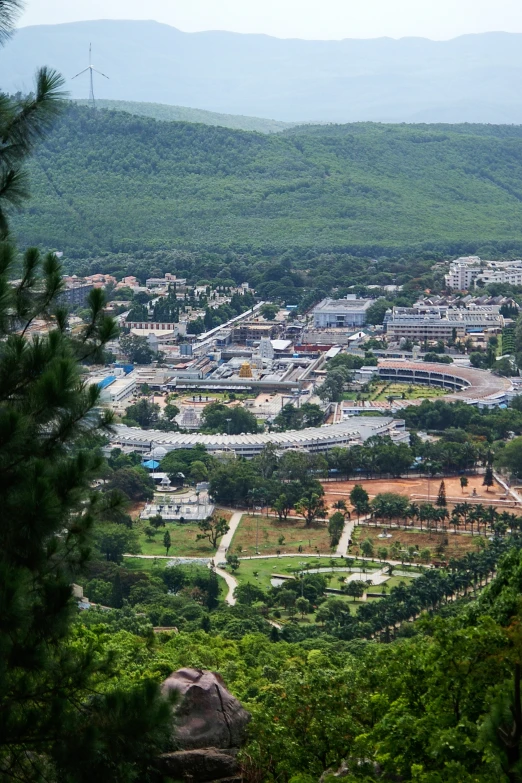 a large green area with lots of trees and buildings in it