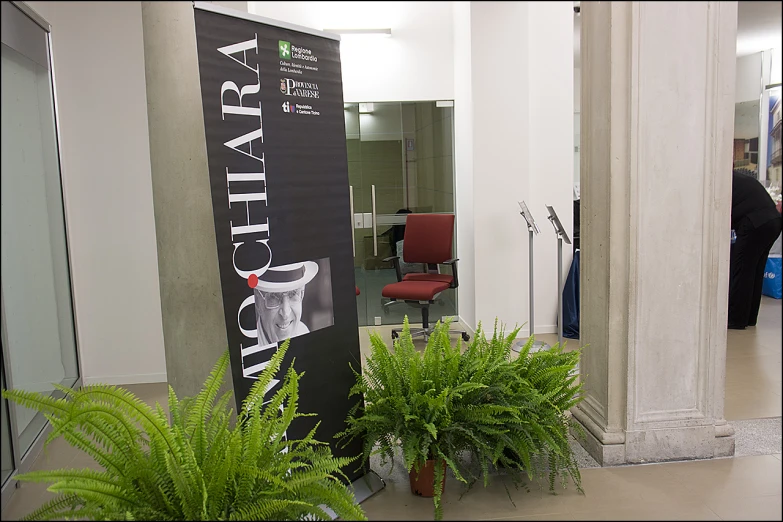 two potted plants are shown next to a sign for the haircut salon