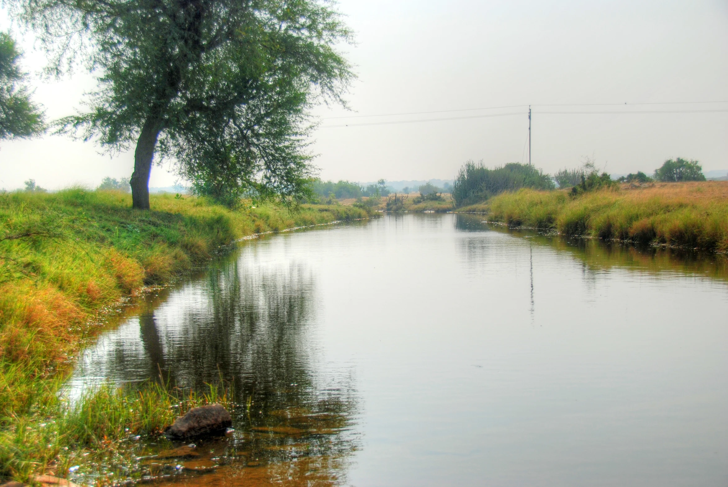 an image of a small river in the country