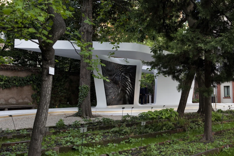 trees and shrubs are on the side of a building