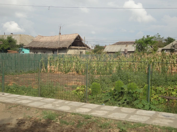 a tall fenced in farm with a bunch of plants on the side of it