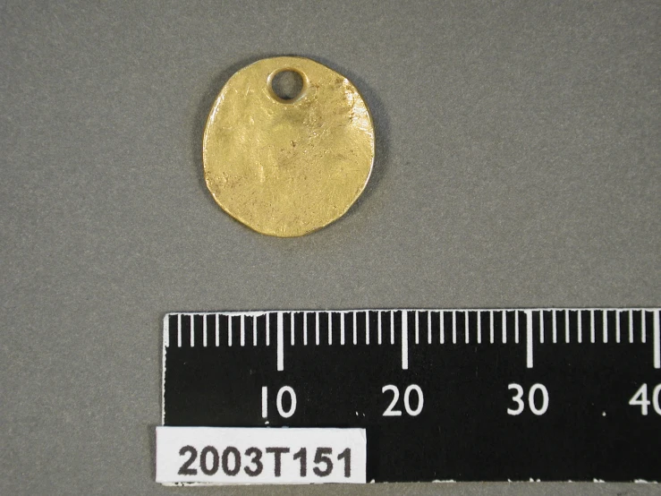 a small gold disc is in front of a scale