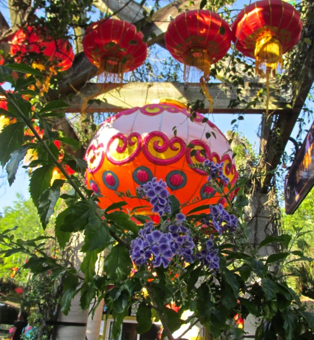 there are several chinese lanterns and flowers in the hanging