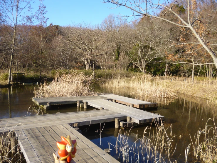 the dock in the woods looks to be constructed into a floating structure