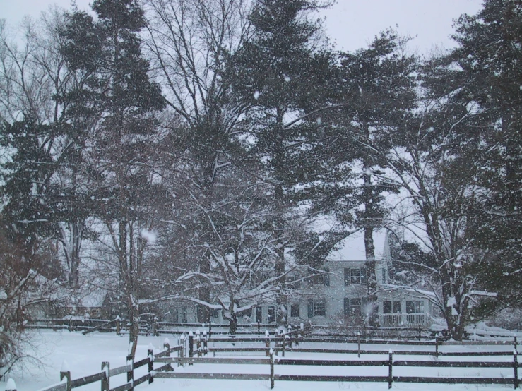 a snow covered yard with a white house in the background