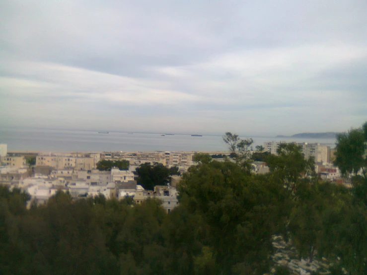 there are trees, buildings, and water on the shore