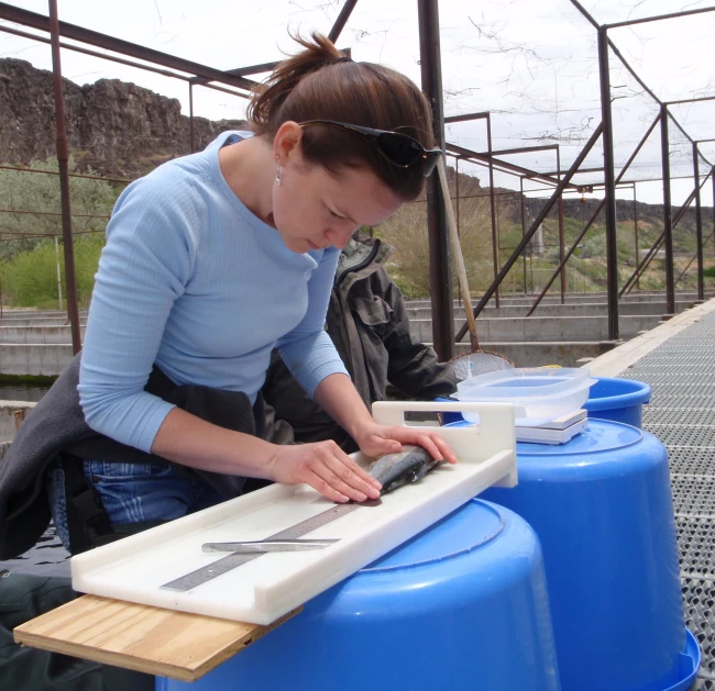 woman with sunglasses and blue shirt working on a tablet