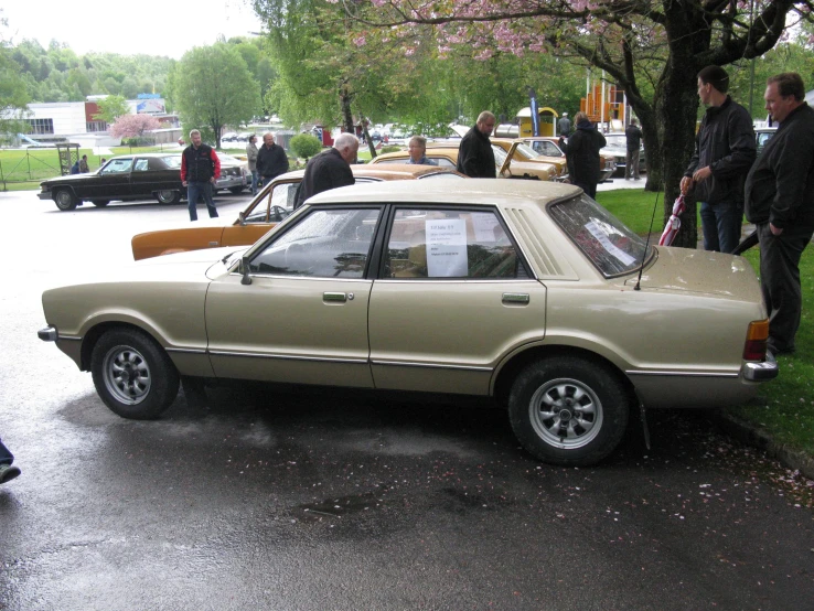 a group of people standing around a tan car parked in front of a tree