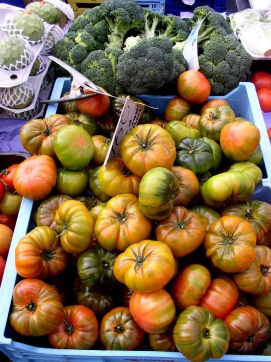 a blue tray filled with tomatoes and broccoli