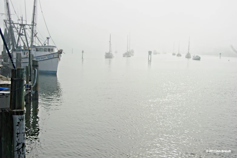 a harbor with docked fishing boats on a foggy day