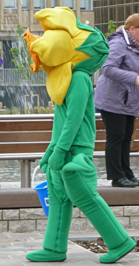 a person dressed in green clothes walking down a street