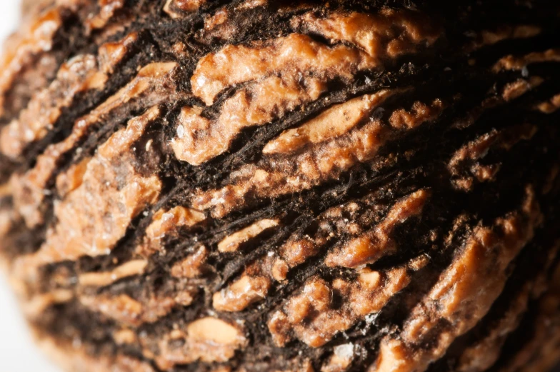 a close up view of brown, chocolate and white bread