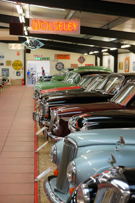 a row of different colored classic cars parked inside a showroom