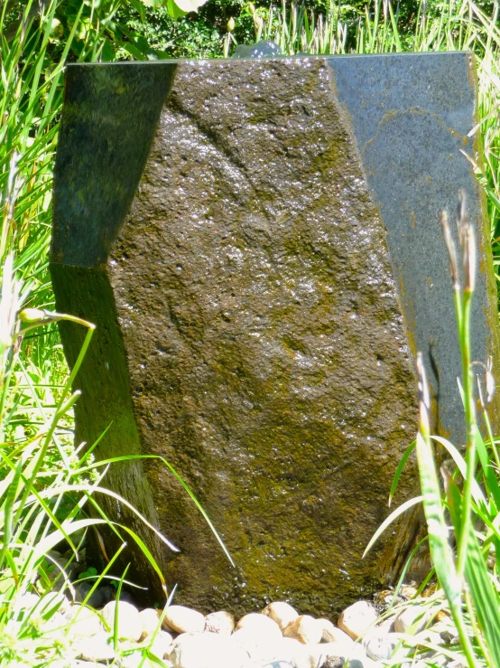 a close up of two large rocks in a grassy area