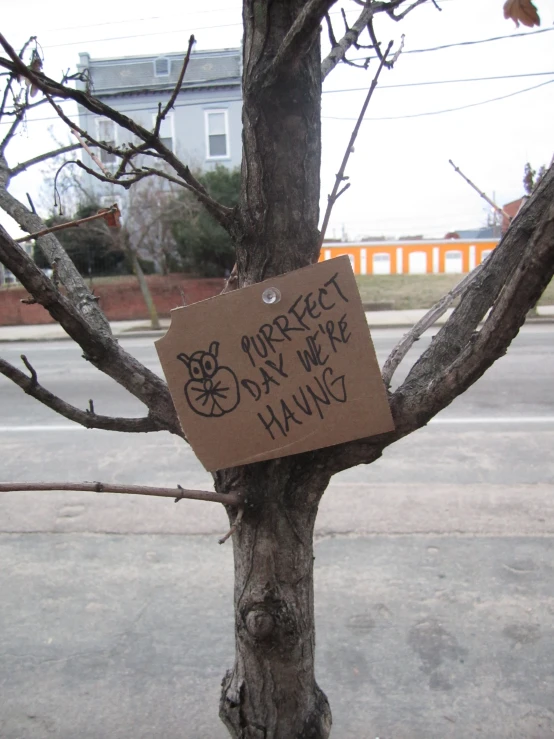 this is a tree with a sign posted to it