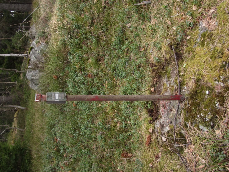 an old street sign in the middle of the woods