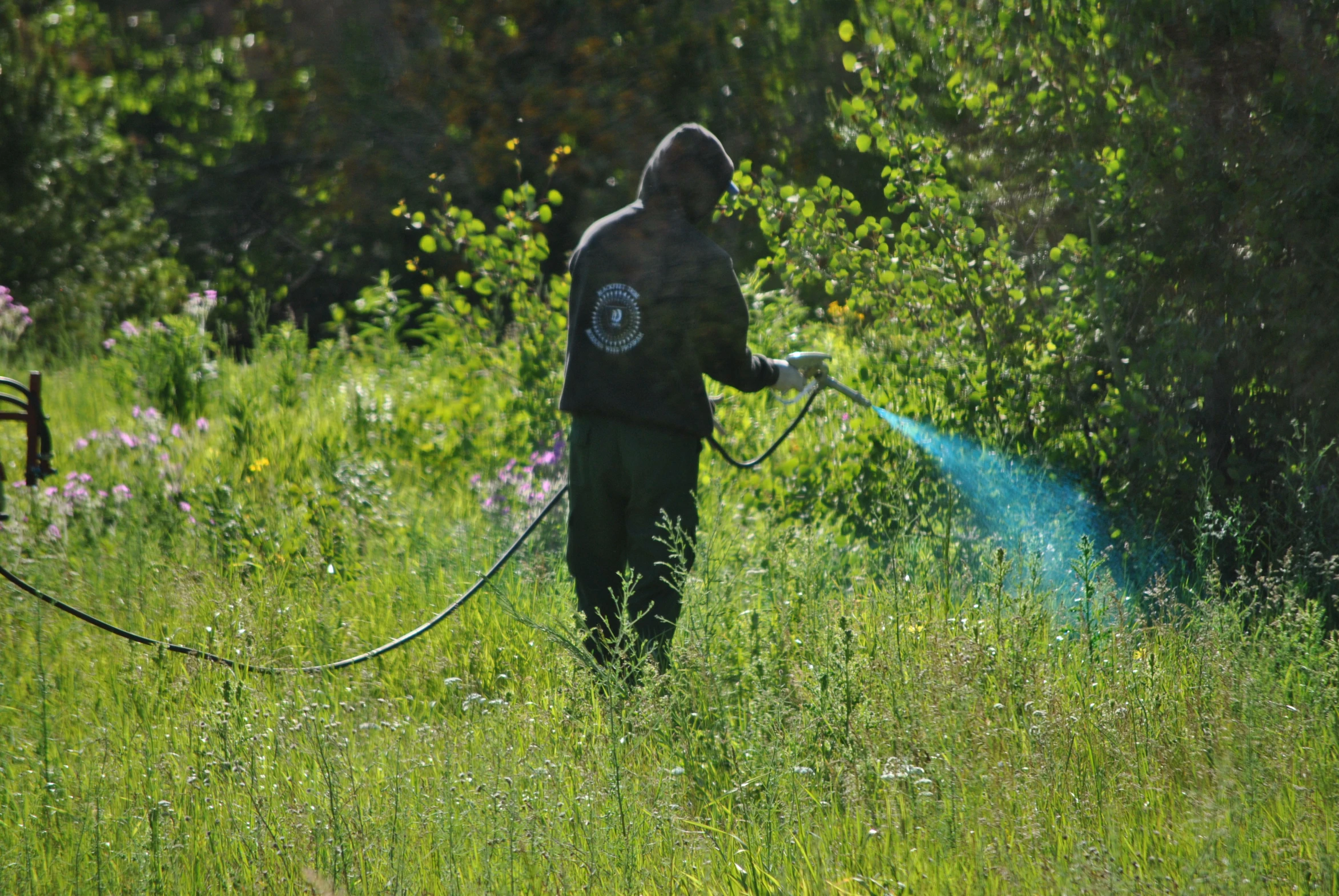 a man is spraying water in the field