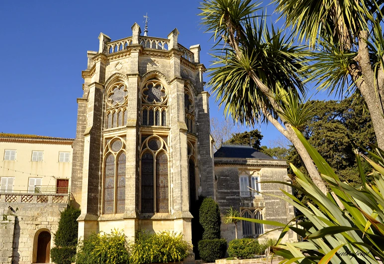 a cathedral style building with palm trees in front