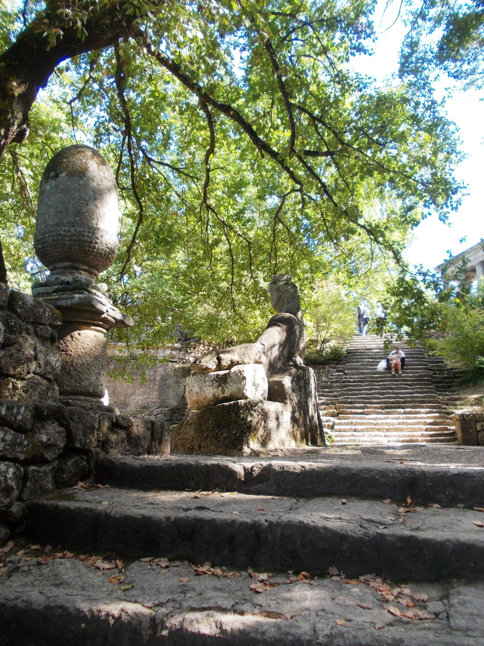 steps in front of trees near an outdoor shrine