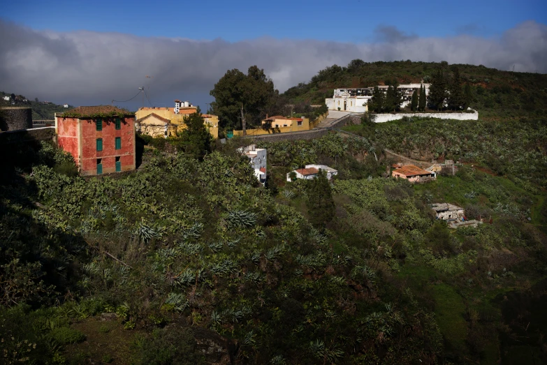 an old street lined with trees next to a hillside