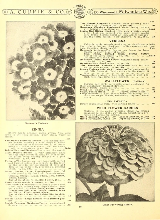 an old book with some drawings of flowers