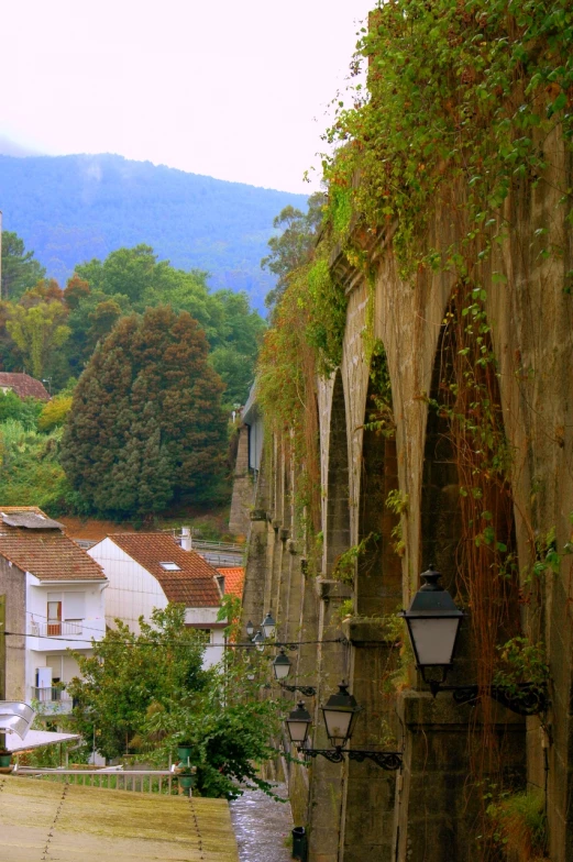 the street with old stone arches is lined with ivy