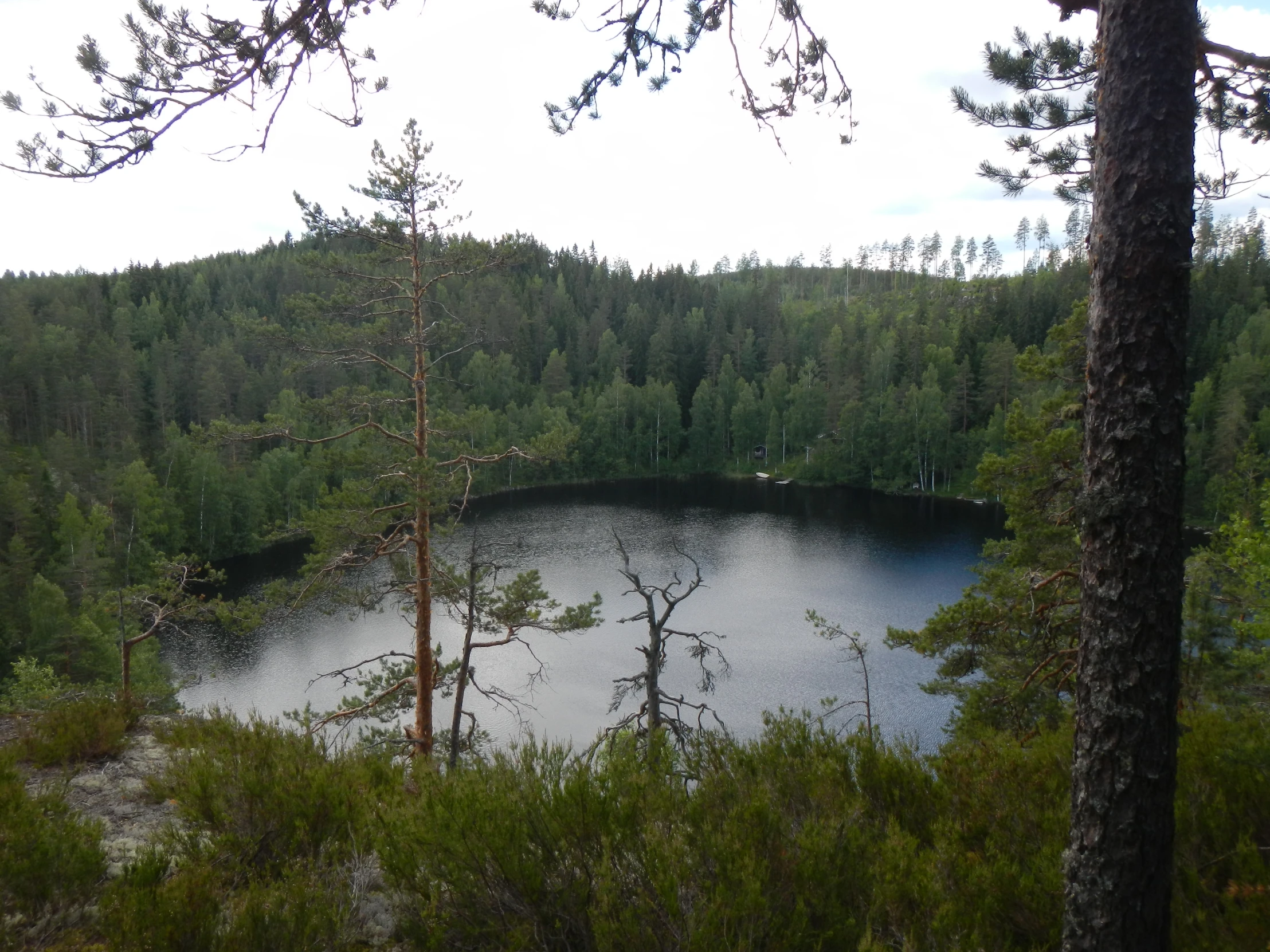 the view of a forest with some very pretty blue water