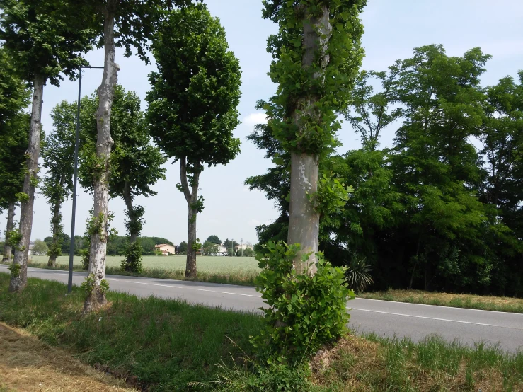 the road is empty from traffic but no cars are parked on the side