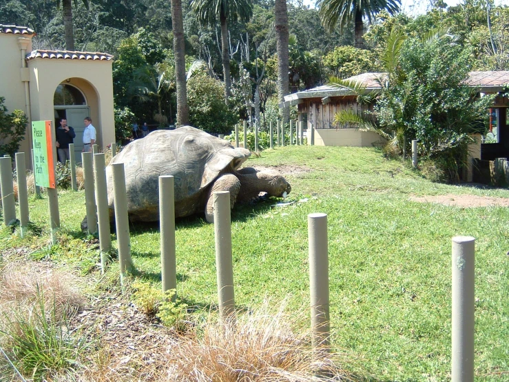 an elephant laying on the ground inside some small fenced in area