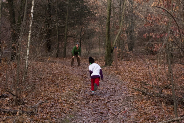 a couple of people walking in the woods