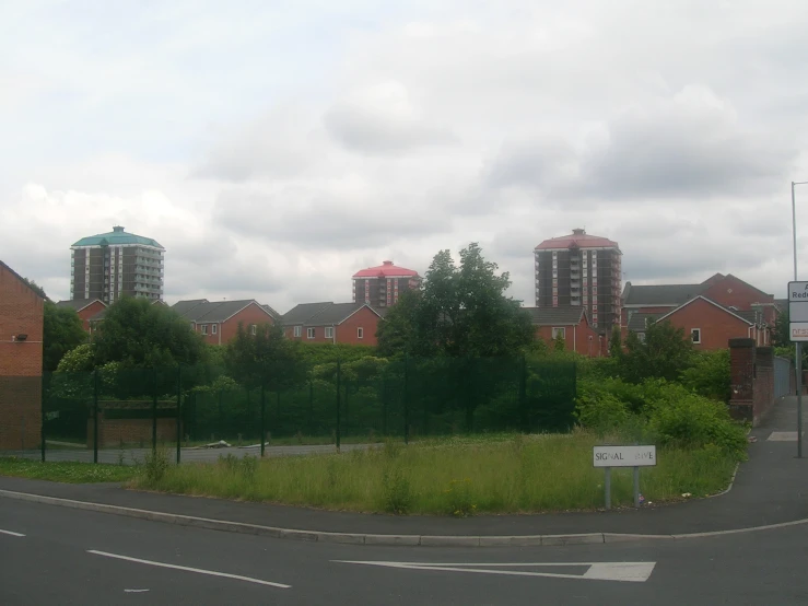 the city is very busy with lots of trees and grass