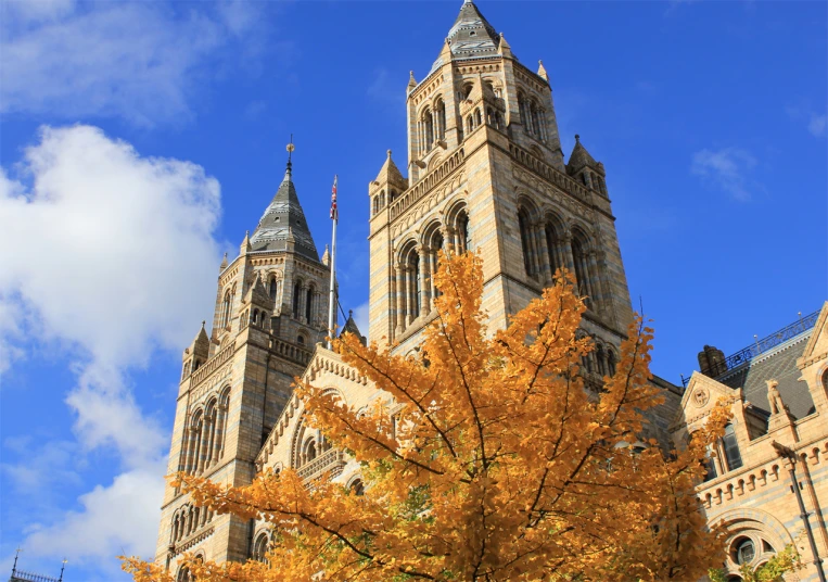 a tall tower that is covered with many windows