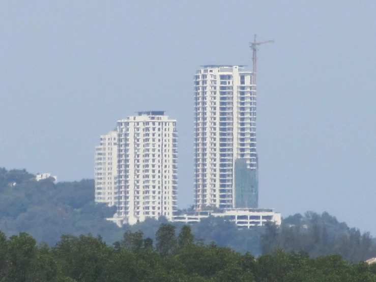 three tall buildings surrounded by trees on top of a hill