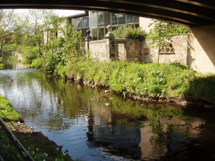 a city with water underneath an overpass near green plants