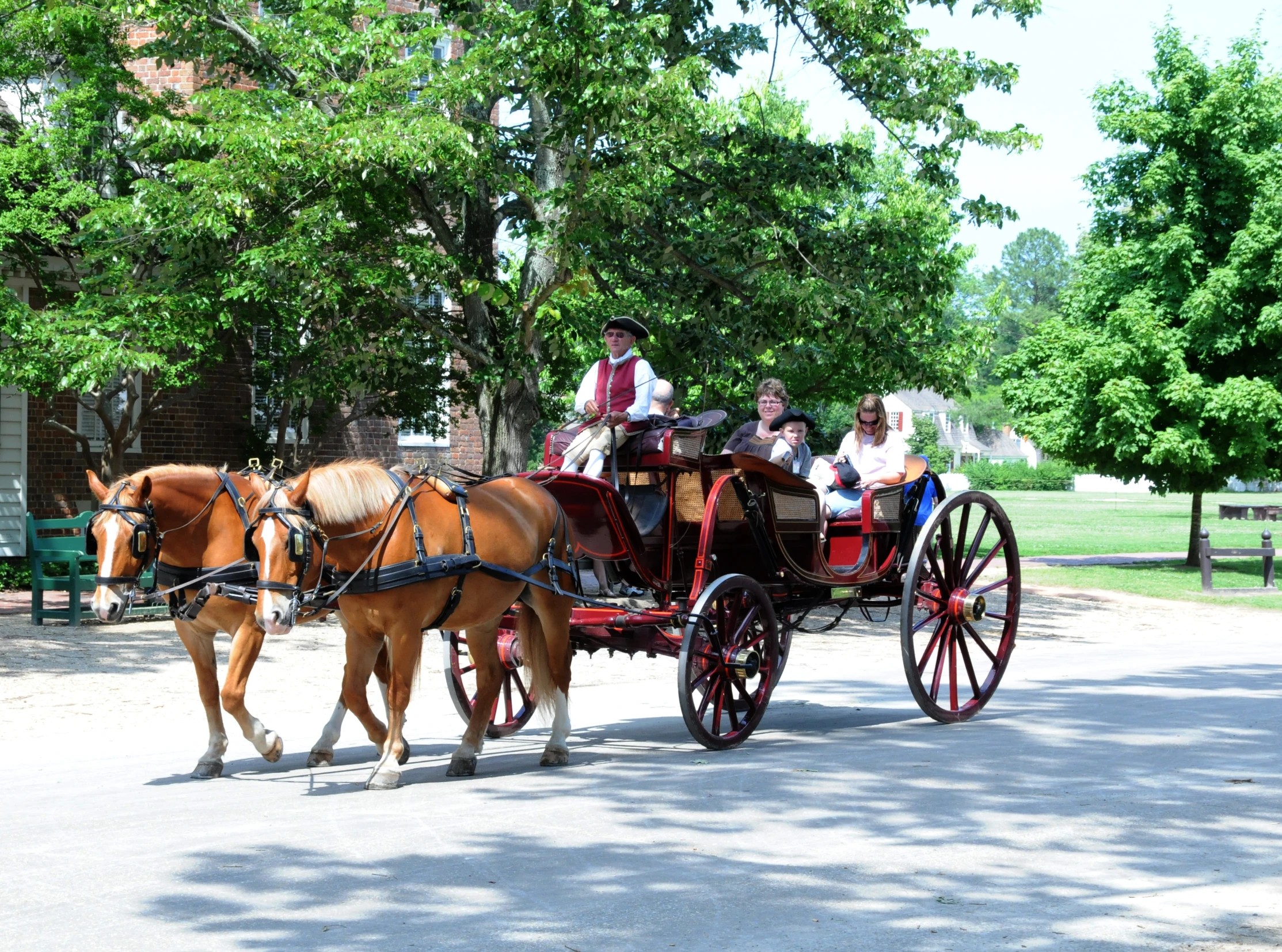 a group of people riding in a horse drawn carriage