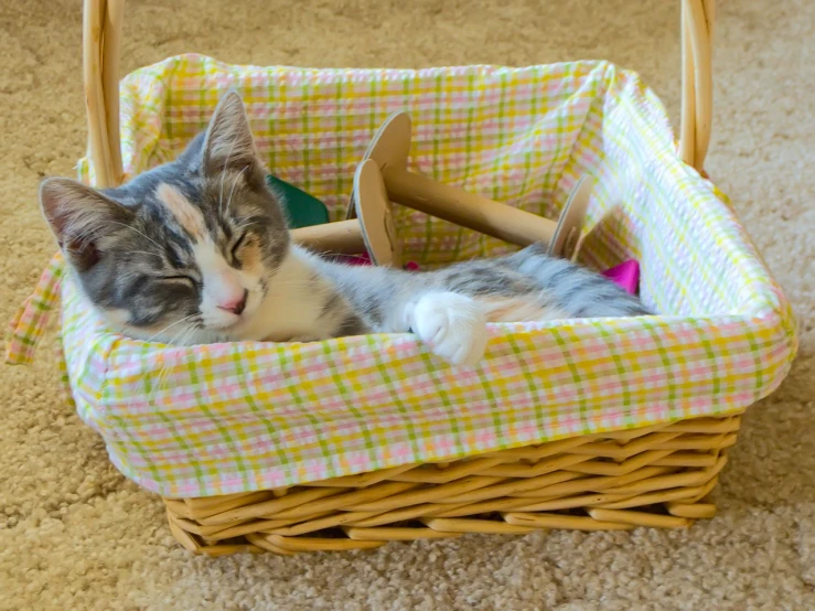 a kitten sleeping in a basket on the floor