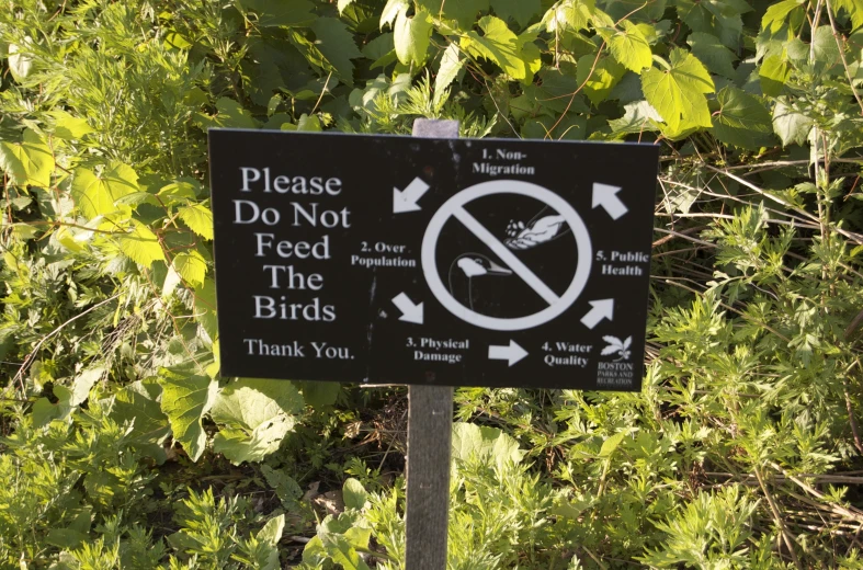 a black and white sign with a do not feed the birds message