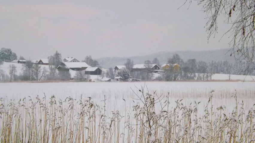 a snow covered field with many houses and trees