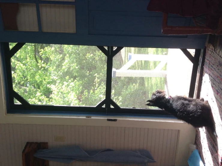 a dog looking out a door at a patio