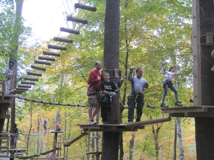 several people walk on an obstacle course in the forest