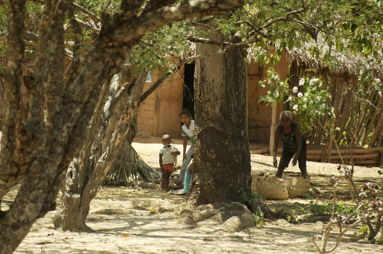 two children standing under trees in the shade