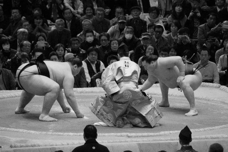 some sumo wrestlers on ring during a show