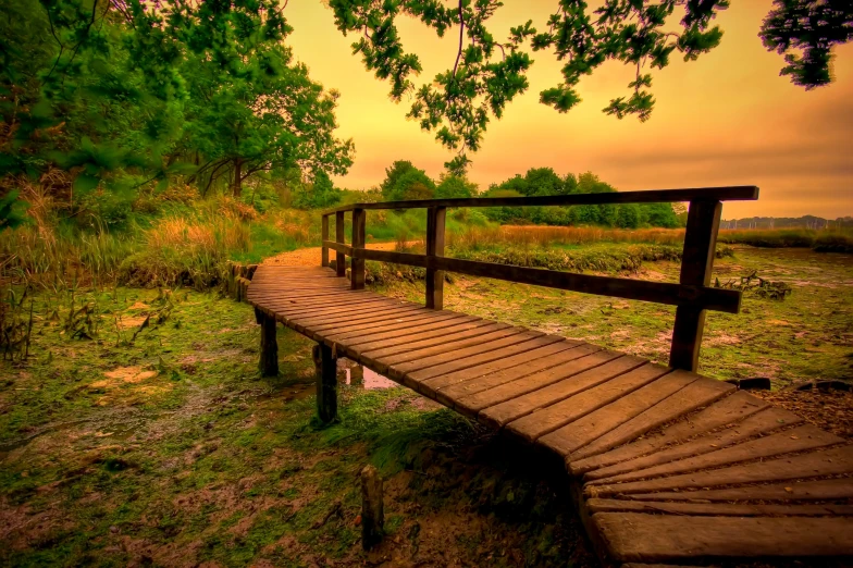 a wooden bench sitting in the grass next to a lake