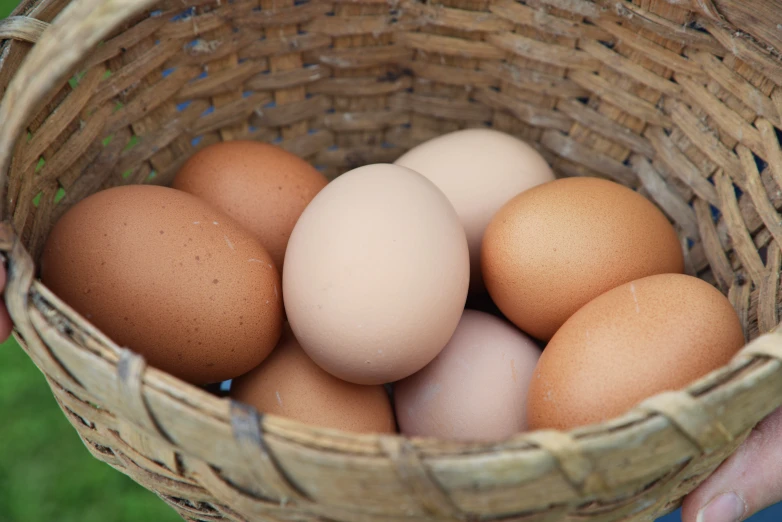 a person holds a basket filled with eggs