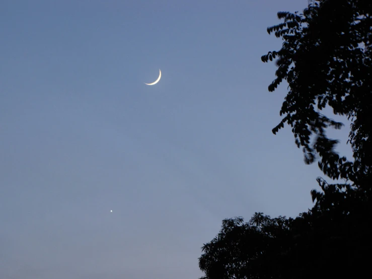 a crescented moon and a moon over some trees