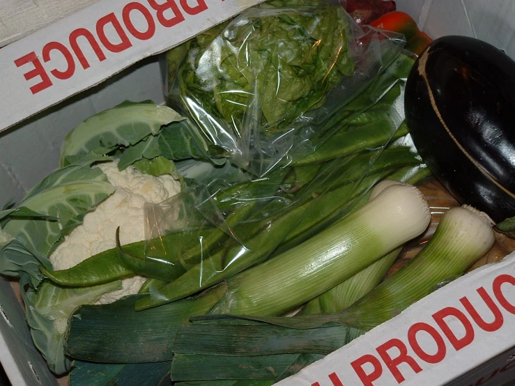 vegetables are sitting inside of a cardboard box