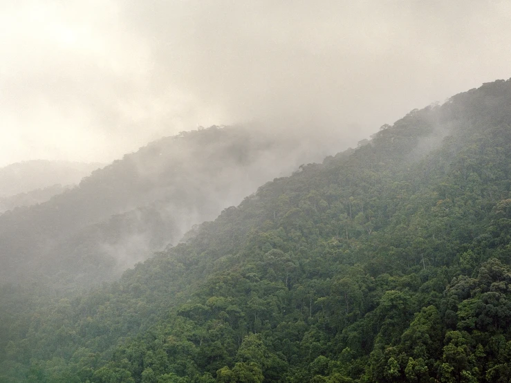 view of the tops of mountains with trees in the foreground