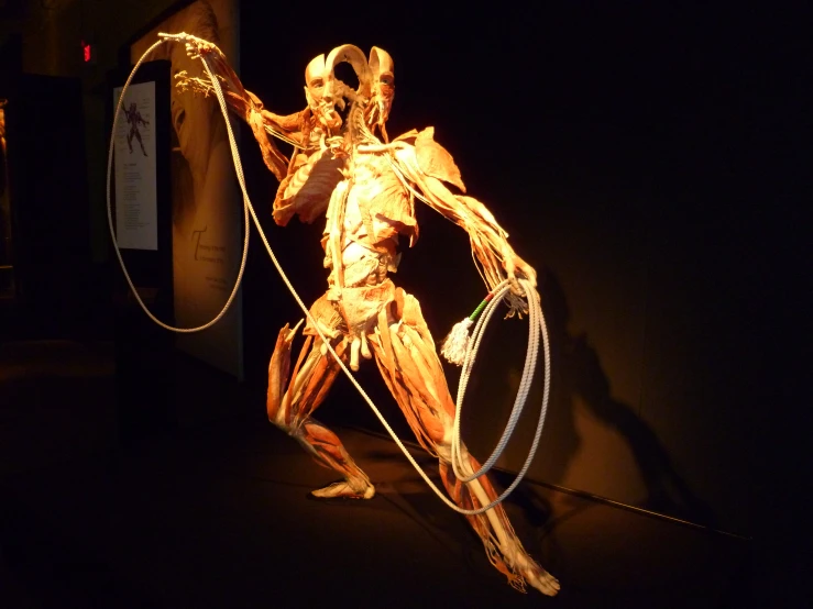 a skeleton figure with a hula hoop and lights