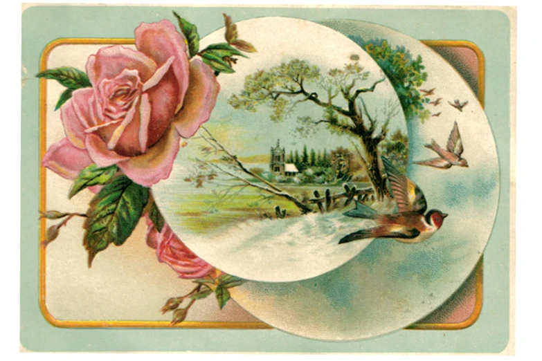 the plate has a beautiful bird on it