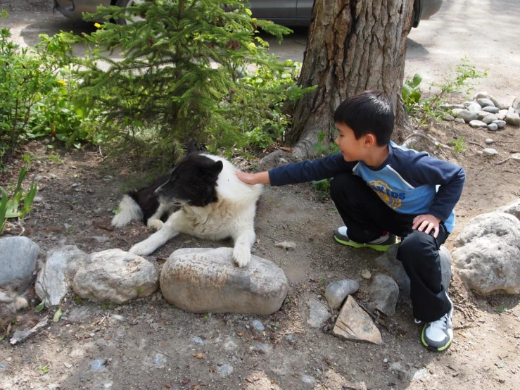 a small child plays with a dog in a park